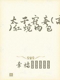 太子宠妾(高肉)红烧肉包