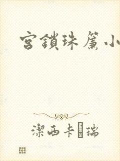 宫锁珠帘小说
