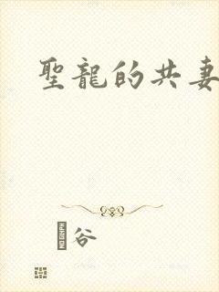 圣龙的共妻