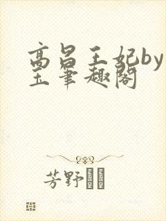 高昌王妃by黛玉笔趣阁