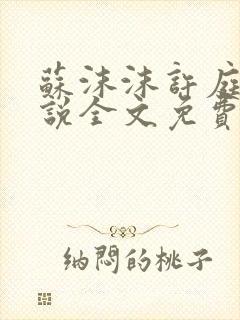 苏沫沫许庭川小说全文免费阅读封面