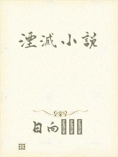 湮灭小说