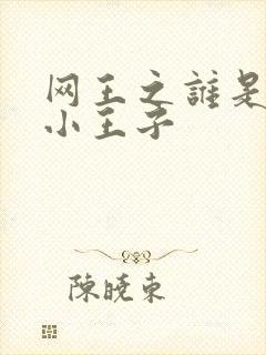 网王之谁是我的小王子