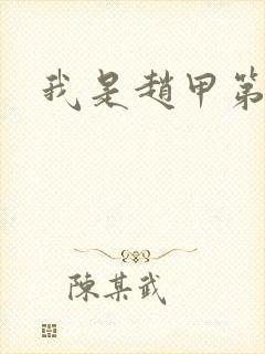 我是赵甲第小说