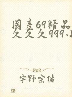 国产69精品久久久久999小说
