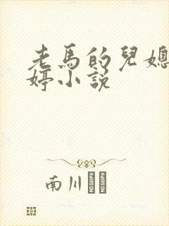 老马的儿媳顾婉婷小说