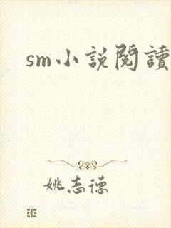 sm小说阅读封面