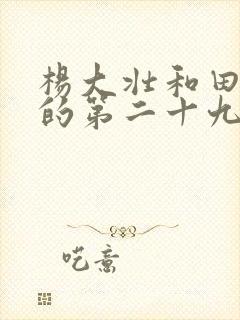 杨大壮和田桂花的第二十九