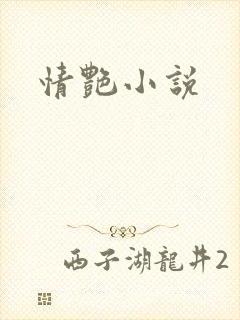 情艳小说封面