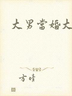 大男当婚大结局
