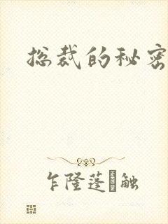 总裁的秘密情人