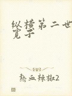 纵横第二世界 宽子封面