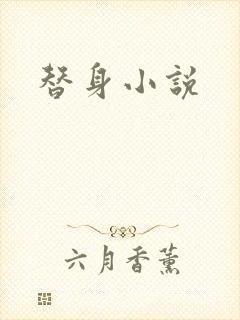 替身小说