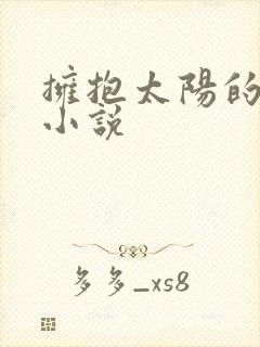拥抱太阳的月亮小说封面