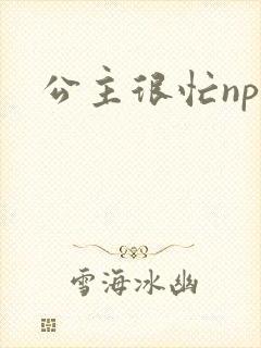 公主很忙npc