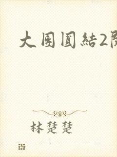 大团圆结2阅读