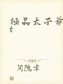 极品太子爷txt
