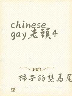 chinesegay老头4