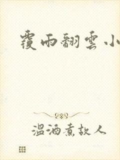 覆雨翻云小说