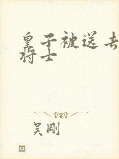 皇子被送去犒劳将士封面