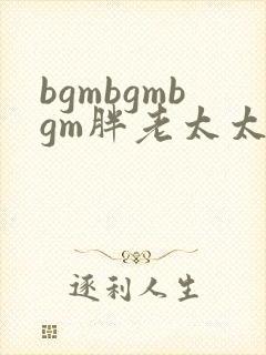 bgmbgmbgm胖老太太东北封面