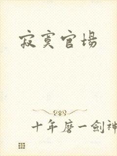 寂寞官场