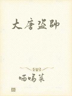 大唐盗帅