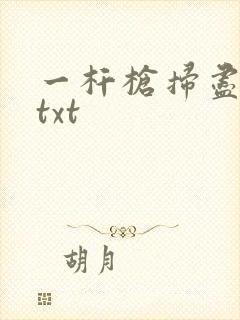 一杆枪扫尽全家txt封面