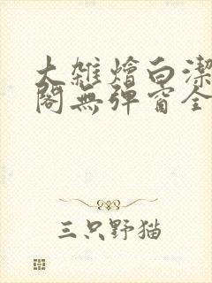 大杂烩白洁笔趣阁无弹窗全本封面