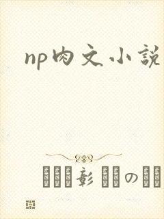 np肉文小说