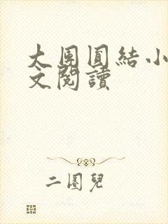 大团圆结小茹全文阅读