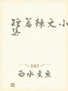 短篇辣文小说合集封面