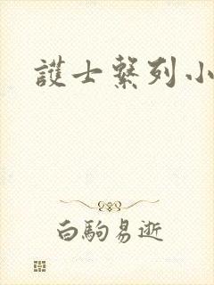 护士系列小说