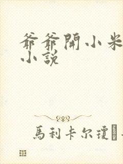 爷爷开小米的包小说