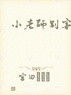 小老师别害羞封面
