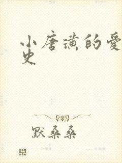 小唐璜的爱情历史封面