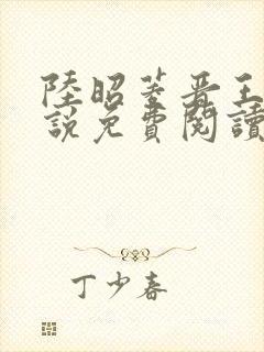 陆昭菱晋王的小说免费阅读