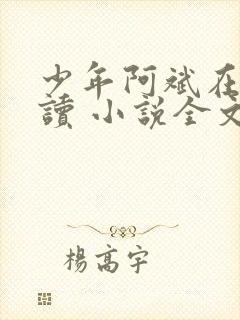 少年阿斌在线阅读 小说全文免费