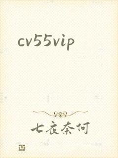 cv55vip封面