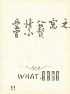 爱情公寓之极品曾小贤