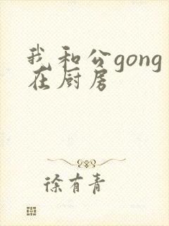 我和公gong在厨房封面