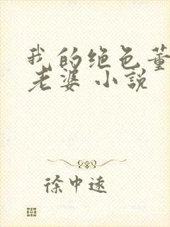 我的绝色董事长老婆 小说