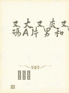 又大又爽又黄无码A片男和男