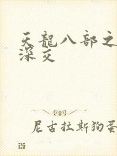 天龙八部之极乐深交封面