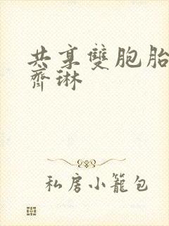 共享双胞胎齐娜齐琳封面