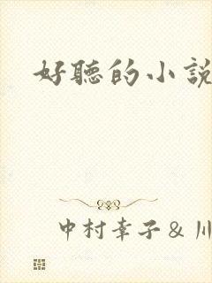 好听的小说名字封面