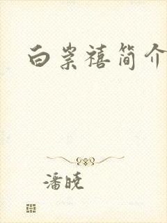 白崇禧简介封面
