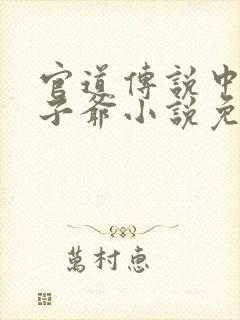 官道传说中的太子爷小说免费阅读