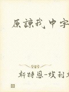 原谅我中字封面