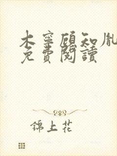 木宁顾知胤小说免费阅读